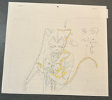 Sailor Moon - Sailor Tin Nyanko - Sketch Set - Episode 195 - B3Key, B4Key, and Copy Layout