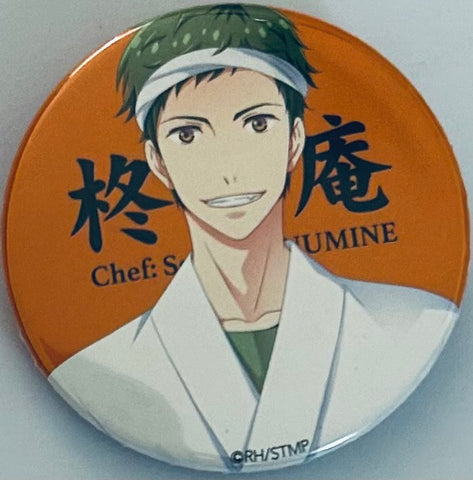 High School Star Musical - Inumine Seishirou - Ayanagi April Fools Series - Badge - Star Mu Ayanagi April Fools Can Badge (i0plus)