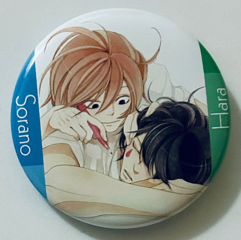 Doukyuusei - Hara Manabu - Sorano Aoto - Badge (Stand Stones)