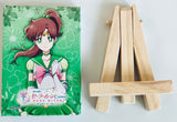 Gekijouban Bishoujo Senshi Sailor Moon Cosmos - Eternal Sailor Jupiter - Mini Canvas Art - Hana Biyori Collab (Toei)