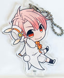 IDOLiSH7 - Izumi Mitsuki - Keyholder - Acrylic Keychain - Idolish7 x Animate Cafe - Bunny Ver. (Animate)