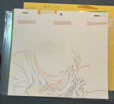 Dragonball Z - Goku - Anime Cel w/Matching Douga, Background, timing Sheet, and multiple eye layers! - Episode 226 - See Pics for Cel #'s