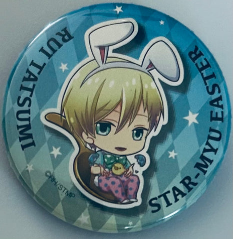 High School Star Musical - Tatsumi Rui - Ayanagi Easter Series - Badge - Star Mu Ayanagi Gakuen Can Badge Team Hiiragi ver. (Hybrid Mind Market, i0plus)