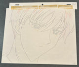 Card Captor Sakura - Kinomoto Touya - Anime Cel w/Douga - Episode 67 - A23