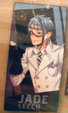 Twisted Wonderland - Jade Leech - Premium Bath Towel Vol.4 (Disney)