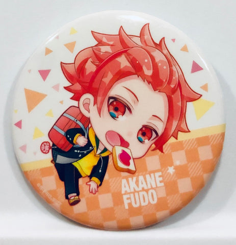 B-Project ~ King of Caste ~ - Fudou Akane - B-Project ~ King of Caste ~ Trading Can Badge KoC SD ver - Badge (MAGES.)