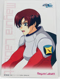 Kidou Senshi Gundam SEED - Ladies of Gundam Seed Character Card Set