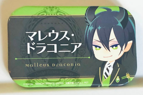 Twisted Wonderland - Malleus Draconia - Badge - Disney Twisted Wonderland Square Can Badge-Name Badge ver.-vol.2 - Square Badge (Bandai Namco Amusement, Bandai Spirits)