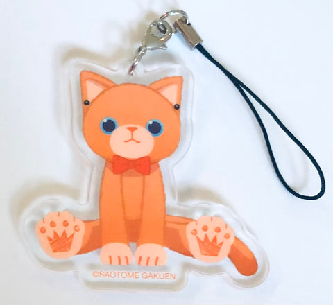 Uta no☆Prince-sama♪ - Jinguuji Ren - Acrylic Keychain - Acrylic Mascot - Keyholder - Mascot Key Chain - Uta no☆Prince-sama♪ Prince Cat Trading Acrylic Mascot (Broccoli)